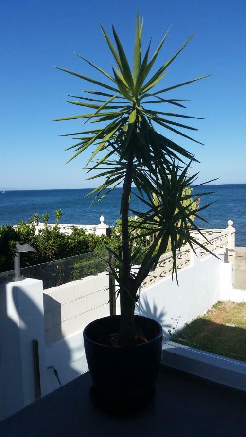 Beach-Front Bahia Dorada Εστεπόνα Εξωτερικό φωτογραφία